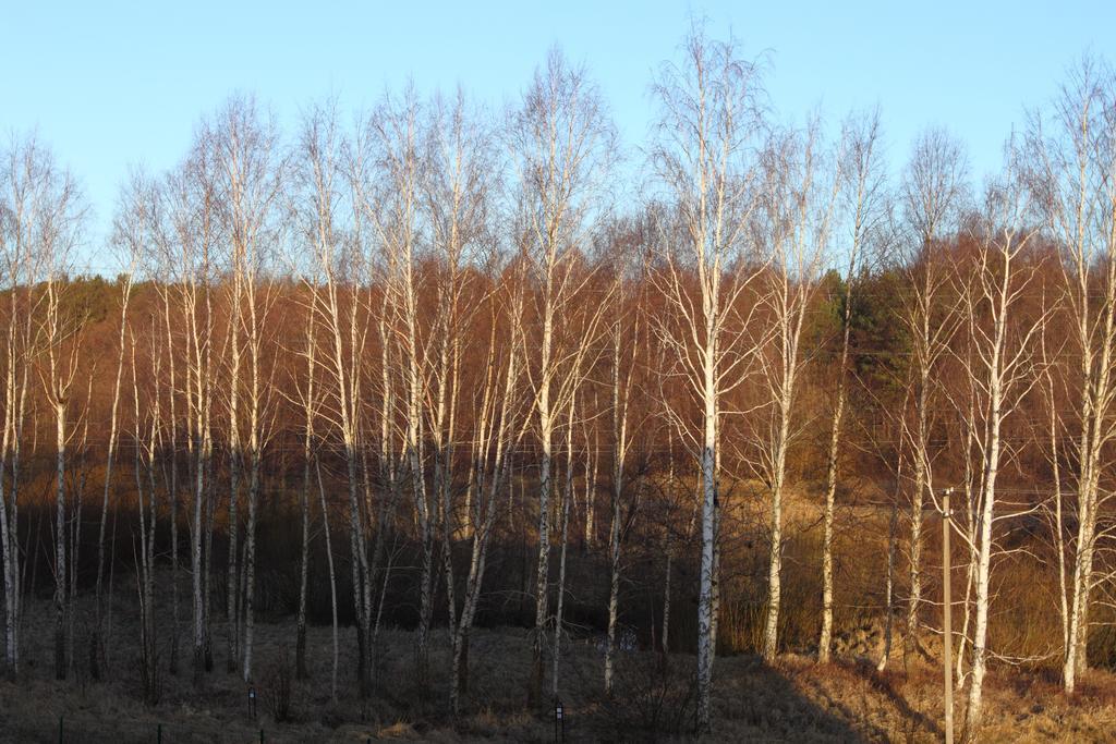 Forest Apartment Palanga Eksteriør bilde
